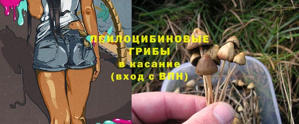 spice Абинск