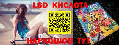 крисы Абакан