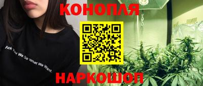 крисы Абакан